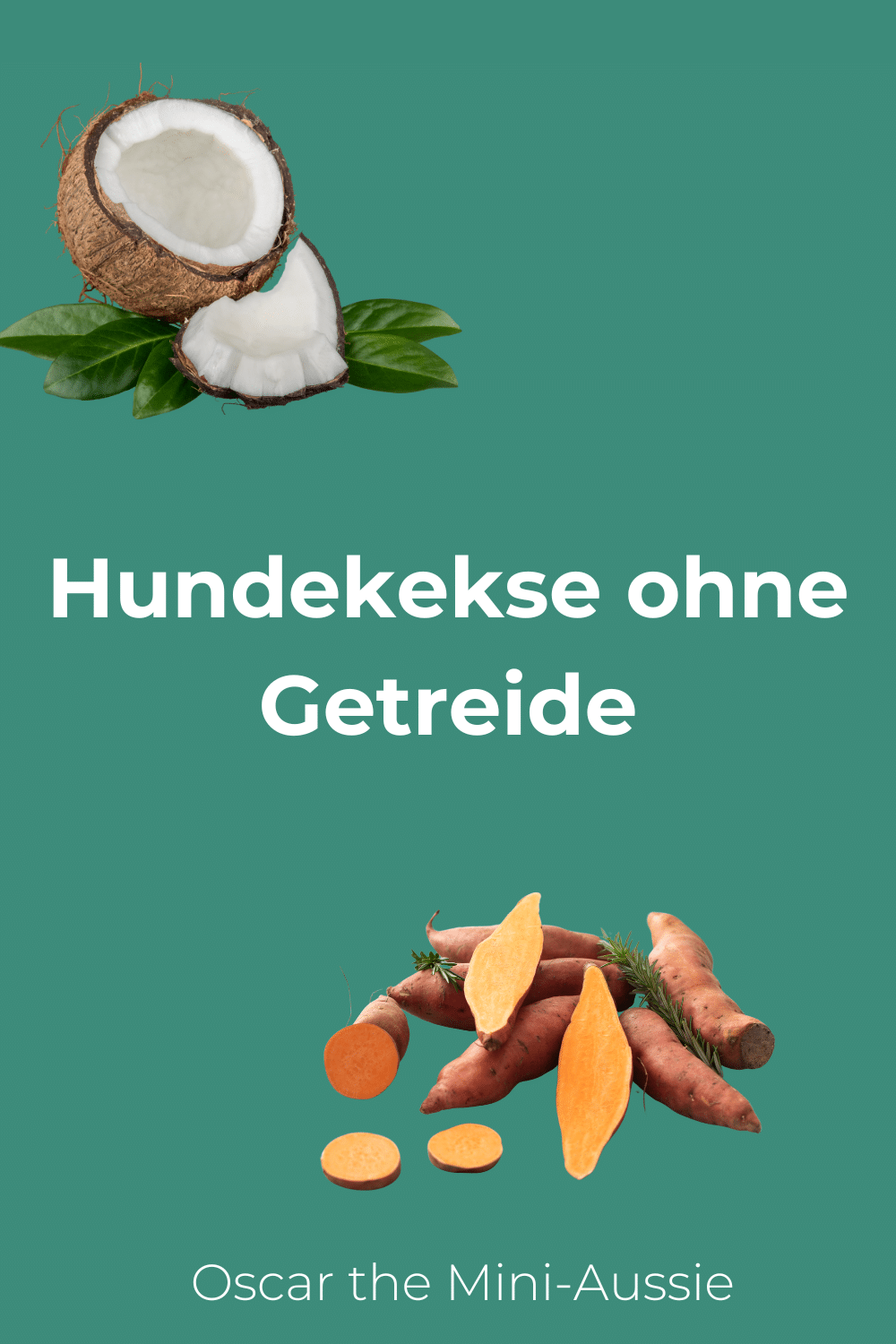 Hundekekse ohne Getreide: Alternativen für sensible Mägen
